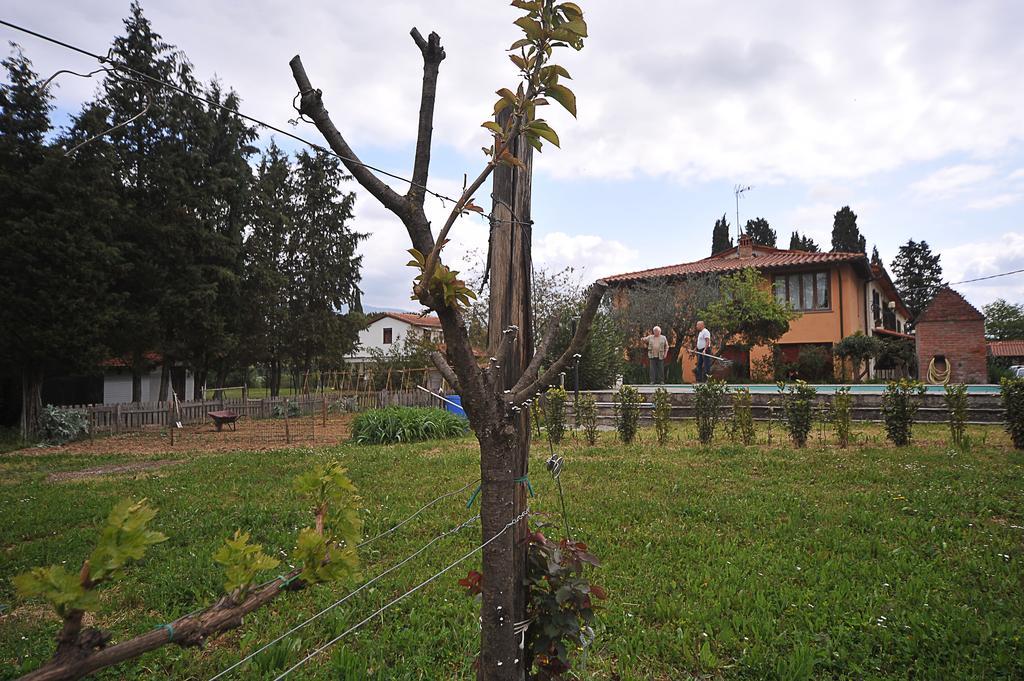 Artenatura Beb Terranuova Bracciolini Kültér fotó
