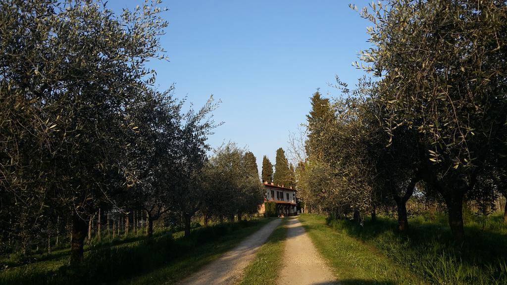 Artenatura Beb Terranuova Bracciolini Kültér fotó