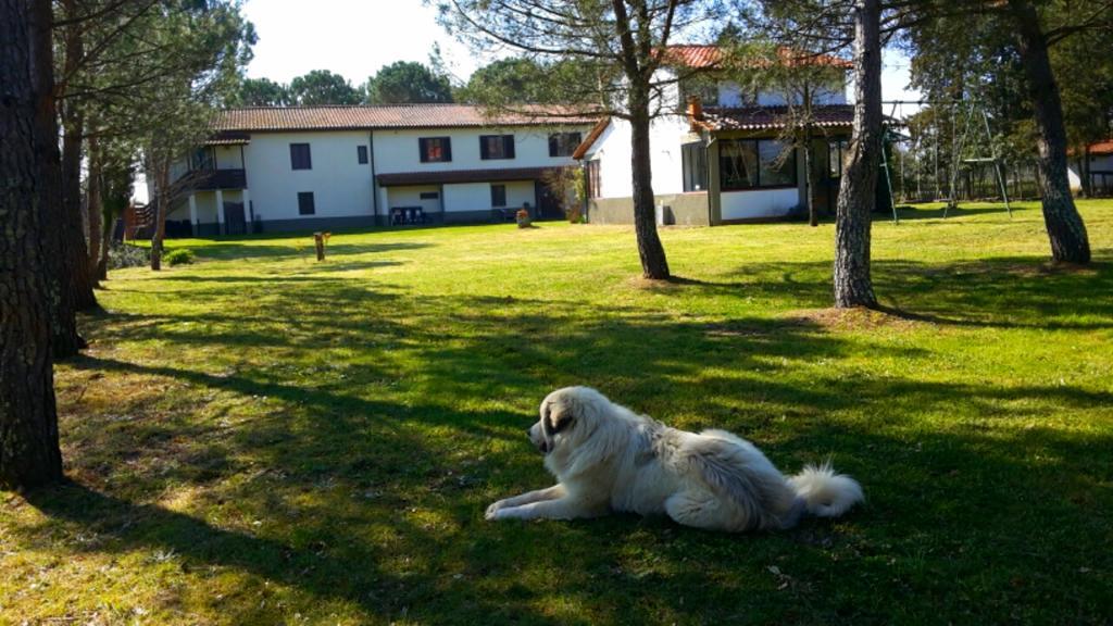 Artenatura Beb Terranuova Bracciolini Kültér fotó