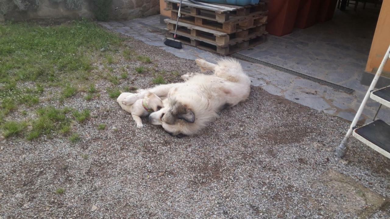 Artenatura Beb Terranuova Bracciolini Kültér fotó